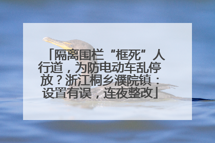 隔离围栏“框死”人行道，为防电动车乱停放？浙江桐乡濮院镇：设置有误，连夜整改
