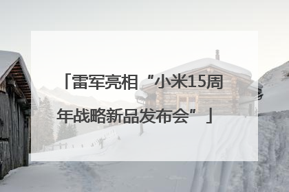 雷军亮相“小米15周年战略新品发布会”