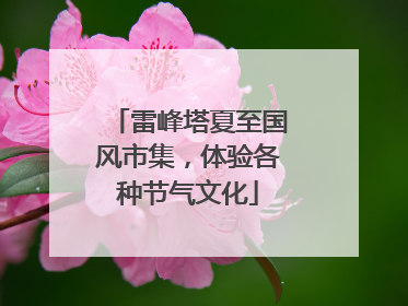 雷峰塔夏至国风市集，体验各种节气文化