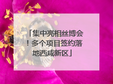 集中亮相丝博会！多个项目签约落地西咸新区