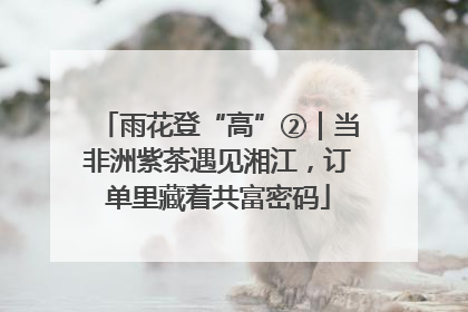 雨花登“高”②｜当非洲紫茶遇见湘江，订单里藏着共富密码