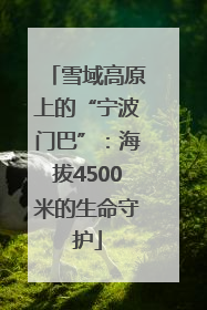 雪域高原上的“宁波门巴”：海拔4500米的生命守护