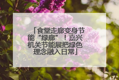 食堂走廊变身节能“绿廊”！嘉兴机关节能展把绿色理念融入日常