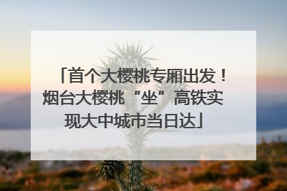 首个大樱桃专厢出发！烟台大樱桃“坐”高铁实现大中城市当日达