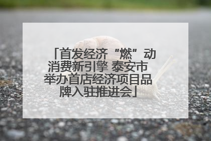 首发经济“燃”动消费新引擎 泰安市举办首店经济项目品牌入驻推进会
