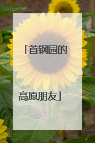 首钢园的高原朋友