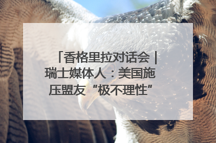 香格里拉对话会｜瑞士媒体人：美国施压盟友“极不理性” 欧洲国家无意与中国“脱钩断链”