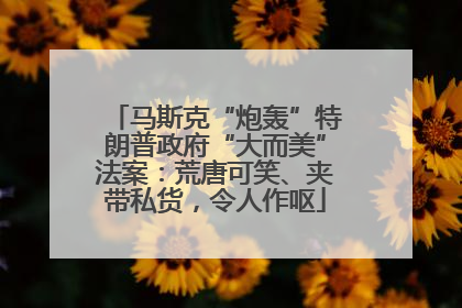 马斯克“炮轰”特朗普政府“大而美”法案：荒唐可笑、夹带私货，令人作呕