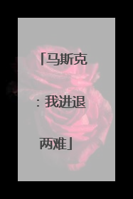 马斯克：我进退两难