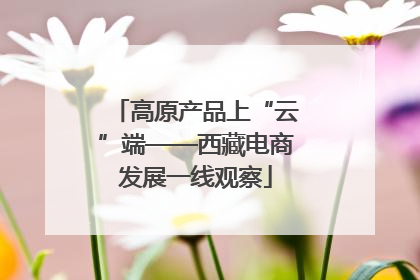 高原产品上“云”端——西藏电商发展一线观察