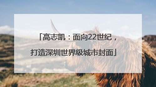 高志凯：面向22世纪，打造深圳世界级城市封面