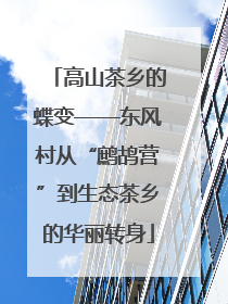 高山茶乡的蝶变——东风村从“鹧鸪营”到生态茶乡的华丽转身