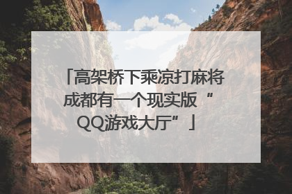 高架桥下乘凉打麻将 成都有一个现实版“QQ游戏大厅”