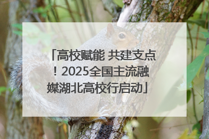 高校赋能 共建支点！2025全国主流融媒湖北高校行启动
