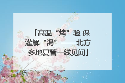 高温“烤”验 保灌解“渴”——北方多地夏管一线见闻