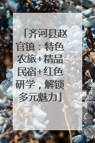 齐河县赵官镇：特色农旅+精品民宿+红色研学，解锁多元魅力