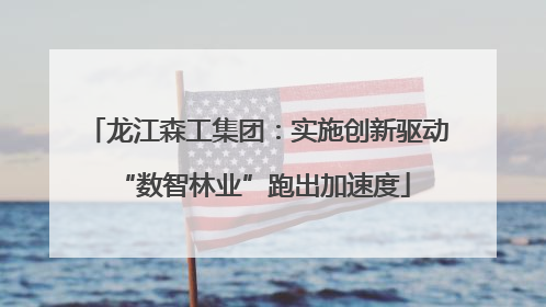 龙江森工集团：实施创新驱动 “数智林业”跑出加速度