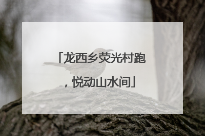 龙西乡荧光村跑，悦动山水间