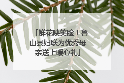 鲜花映笑脸！鲁山县妇联为优秀母亲送上暖心礼