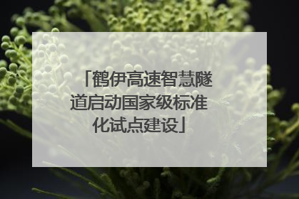 鹤伊高速智慧隧道启动国家级标准化试点建设