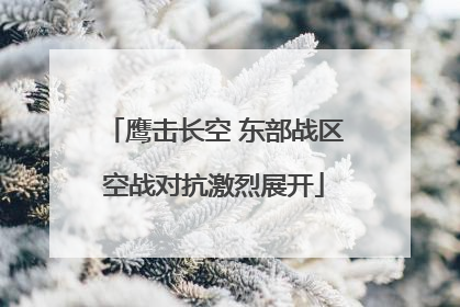 鹰击长空 东部战区空战对抗激烈展开