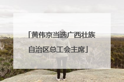 黄伟京当选广西壮族自治区总工会主席