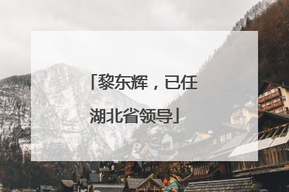 黎东辉，已任湖北省领导