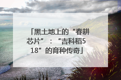 黑土地上的“春耕芯片”：“吉科稻518”的育种传奇