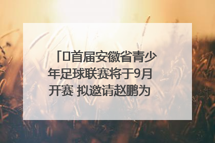 ﻿首届安徽省青少年足球联赛将于9月开赛 拟邀请赵鹏为先导赛开球