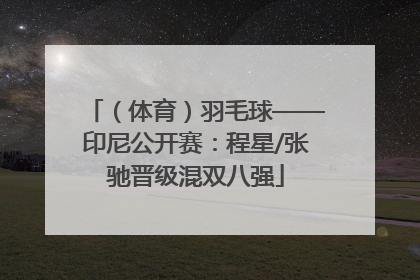 （体育）羽毛球——印尼公开赛：程星/张驰晋级混双八强