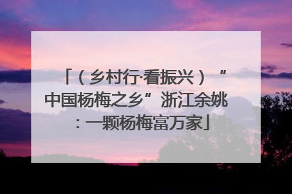 （乡村行·看振兴）“中国杨梅之乡”浙江余姚：一颗杨梅富万家