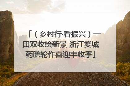 （乡村行·看振兴）一田双收绘新景 浙江婺城药膳轮作喜迎丰收季