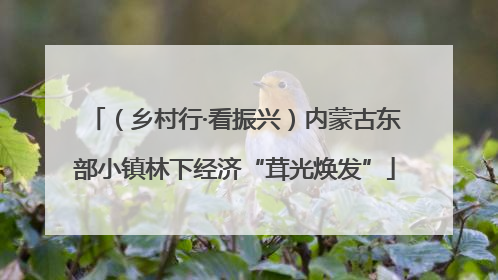 （乡村行·看振兴）内蒙古东部小镇林下经济“茸光焕发”