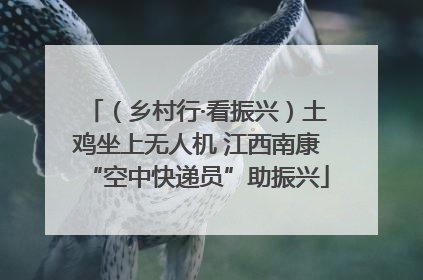 （乡村行·看振兴）土鸡坐上无人机 江西南康“空中快递员”助振兴