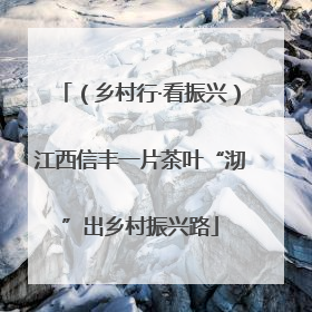 （乡村行·看振兴）江西信丰一片茶叶“沏”出乡村振兴路