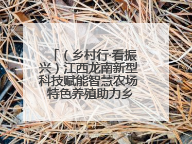 （乡村行·看振兴）江西龙南新型科技赋能智慧农场 特色养殖助力乡村振兴