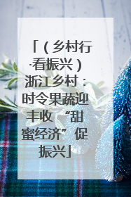 （乡村行·看振兴）浙江乡村：时令果蔬迎丰收 “甜蜜经济”促振兴