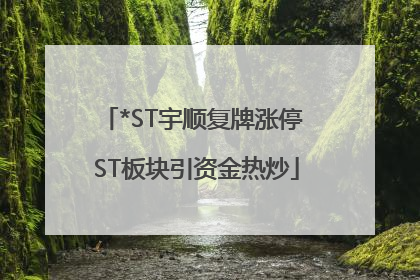 *ST宇顺复牌涨停 ST板块引资金热炒
