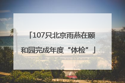 107只北京雨燕在颐和园完成年度“体检”