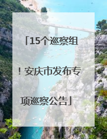 15个巡察组！安庆市发布专项巡察公告