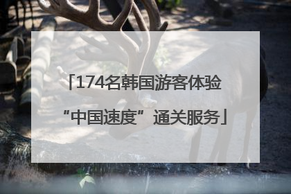 174名韩国游客体验“中国速度”通关服务