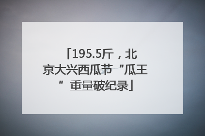 195.5斤，北京大兴西瓜节“瓜王”重量破纪录