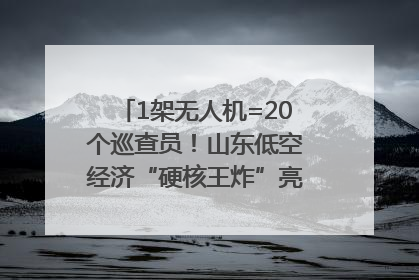 1架无人机=20个巡查员！山东低空经济“硬核王炸”亮相青岛，下一个万亿赛道藏在这里