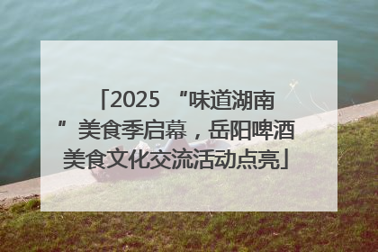 2025 “味道湖南”美食季启幕，岳阳啤酒美食文化交流活动点亮