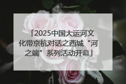 2025中国大运河文化带京杭对话之西城“河之端”系列活动开幕