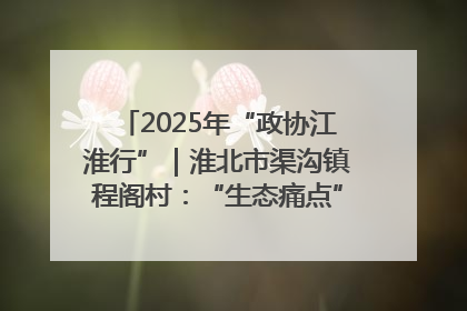 2025年“政协江淮行”｜淮北市渠沟镇程阁村：“生态痛点”变“生态景观”