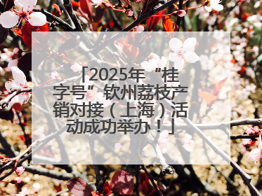 2025年“桂字号”钦州荔枝产销对接（上海）活动成功举办！