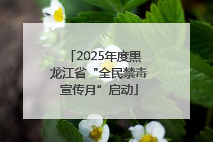 2025年度黑龙江省“全民禁毒宣传月”启动