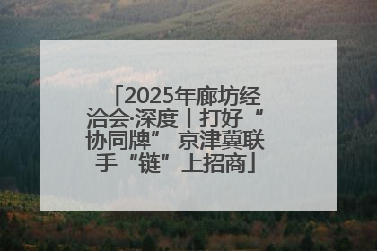 2025年廊坊经洽会·深度丨打好“协同牌” 京津冀联手“链”上招商