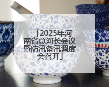 2025年河南省总河长会议暨防汛备汛调度会召开